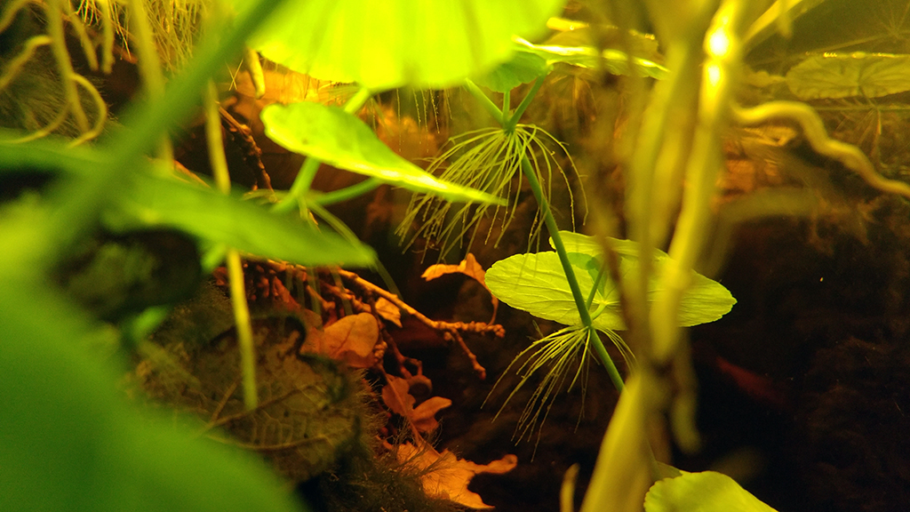 2016-05-22-05_zps43hkztl0.jpg