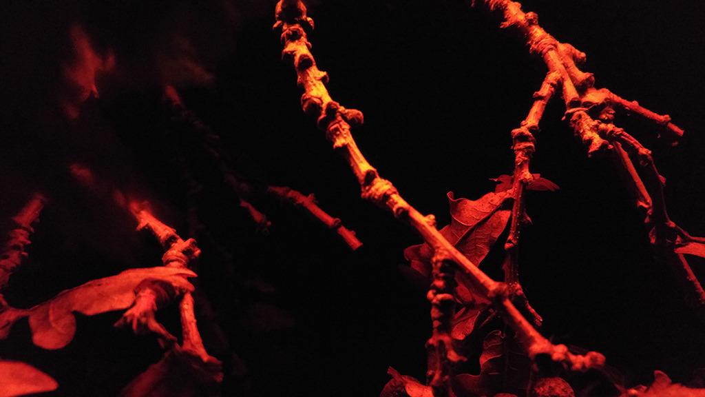2016-05-27-01_zpsswcq1eqy.jpg