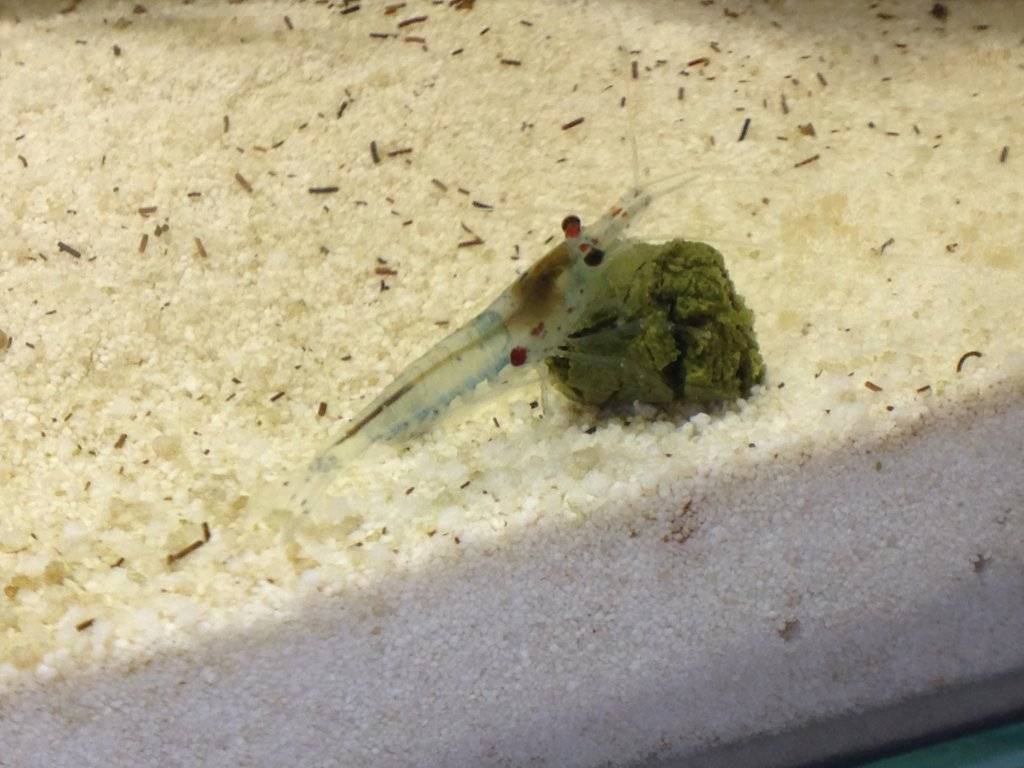 2016-07-08 17.58.36.jpg