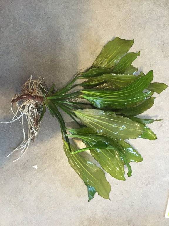 2016-10-23 18.08.08.jpg