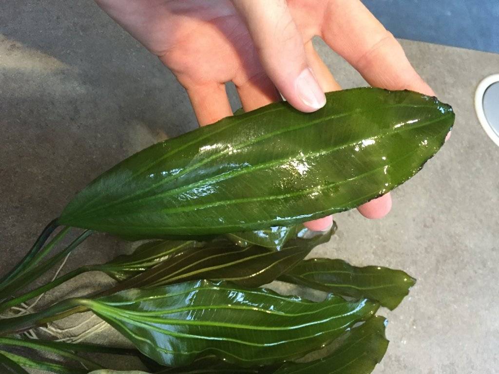 2016-10-23 18.08.16-1.jpg