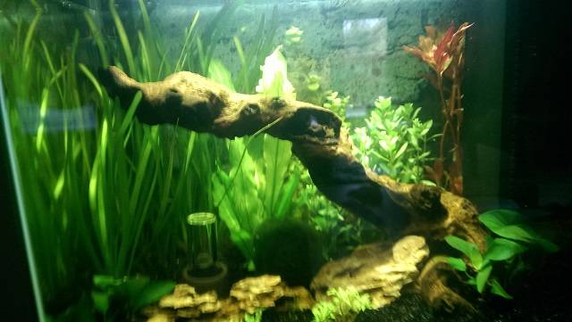 2016-10-24 12.17.23.jpg