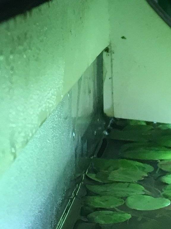 2016-11-07 07.58.09.jpg