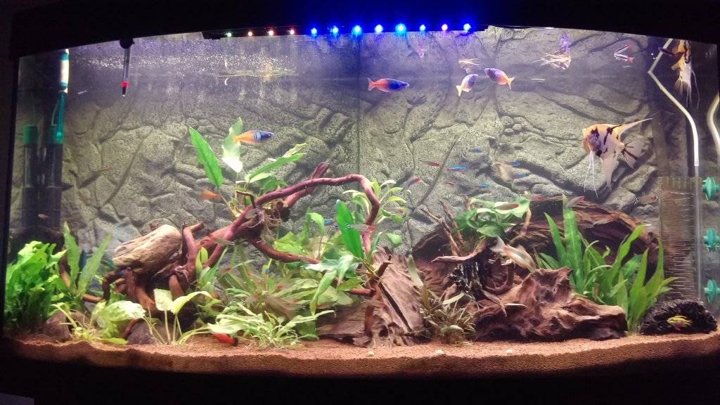 2016-12-03 21.21.46.jpg