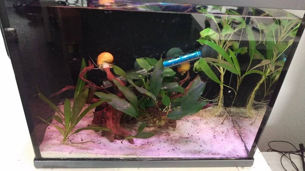 2016-12-24 11.48.48.jpg