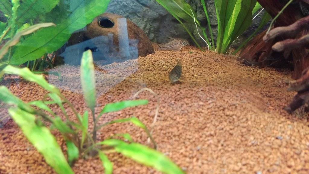 2016-12-24 11.50.17.jpg