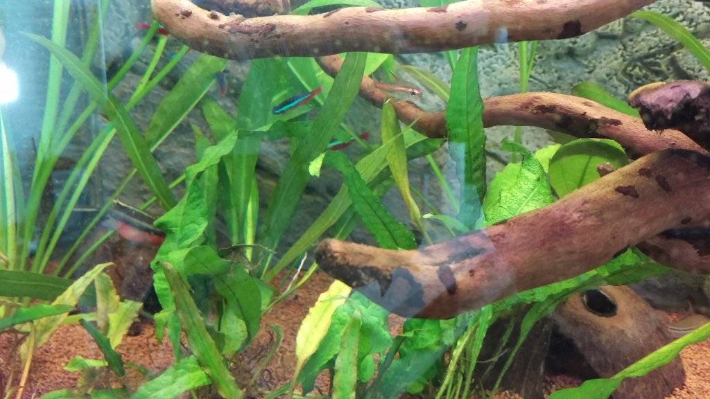 2016-12-24 11.50.30.jpg