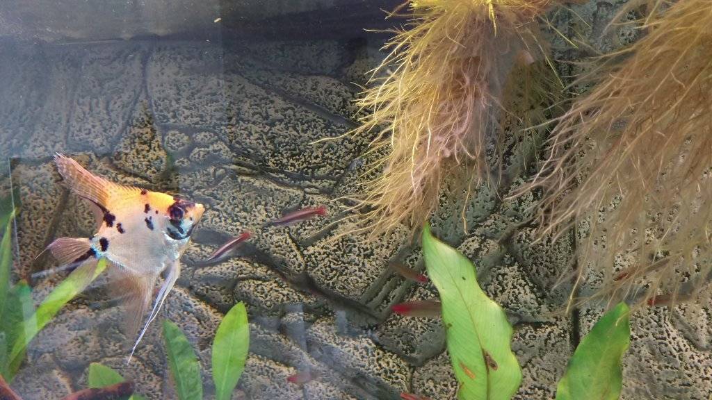 2016-12-24 11.50.50.jpg