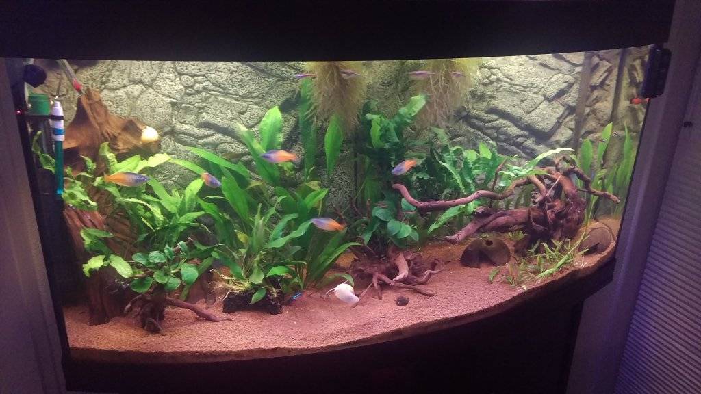 2016-12-28 21.50.38.jpg