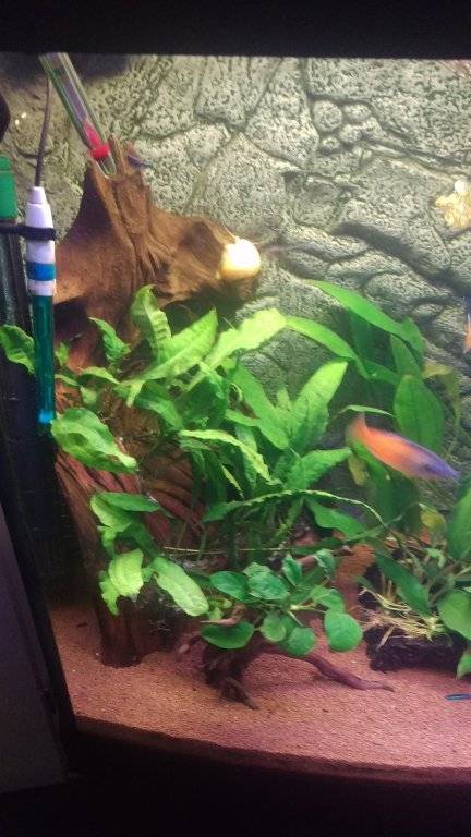 2016-12-28 21.50.46.jpg