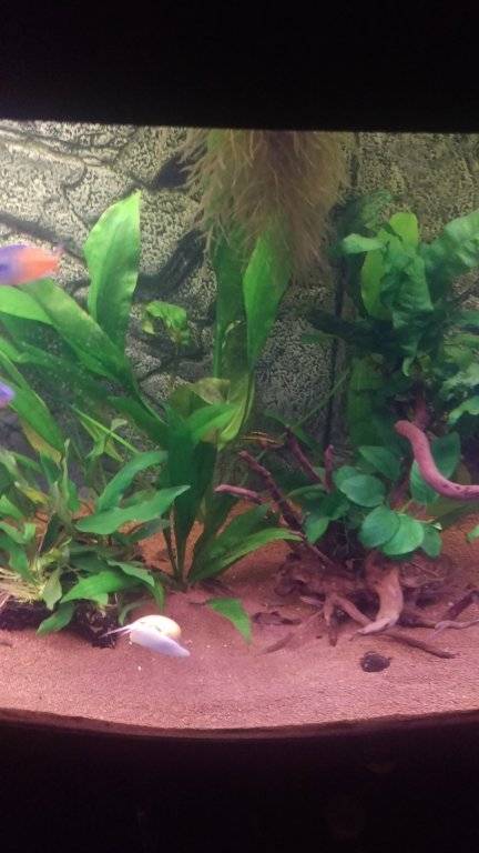 2016-12-28 21.50.53.jpg