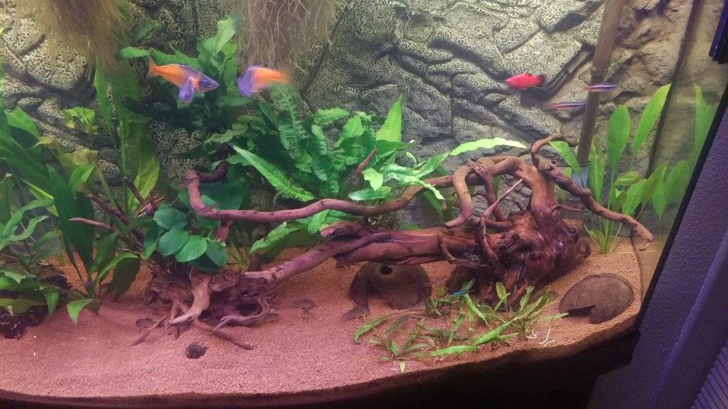 2016-12-28 21.51.00.jpg