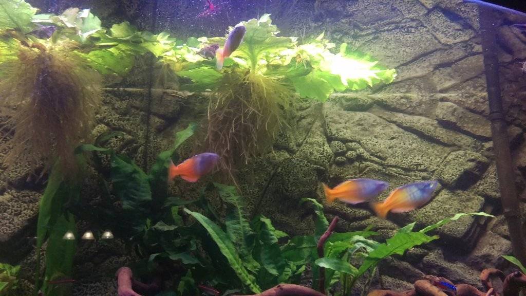 2016-12-28 21.52.42.jpg