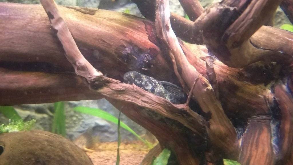 2016-12-28 21.53.03.jpg