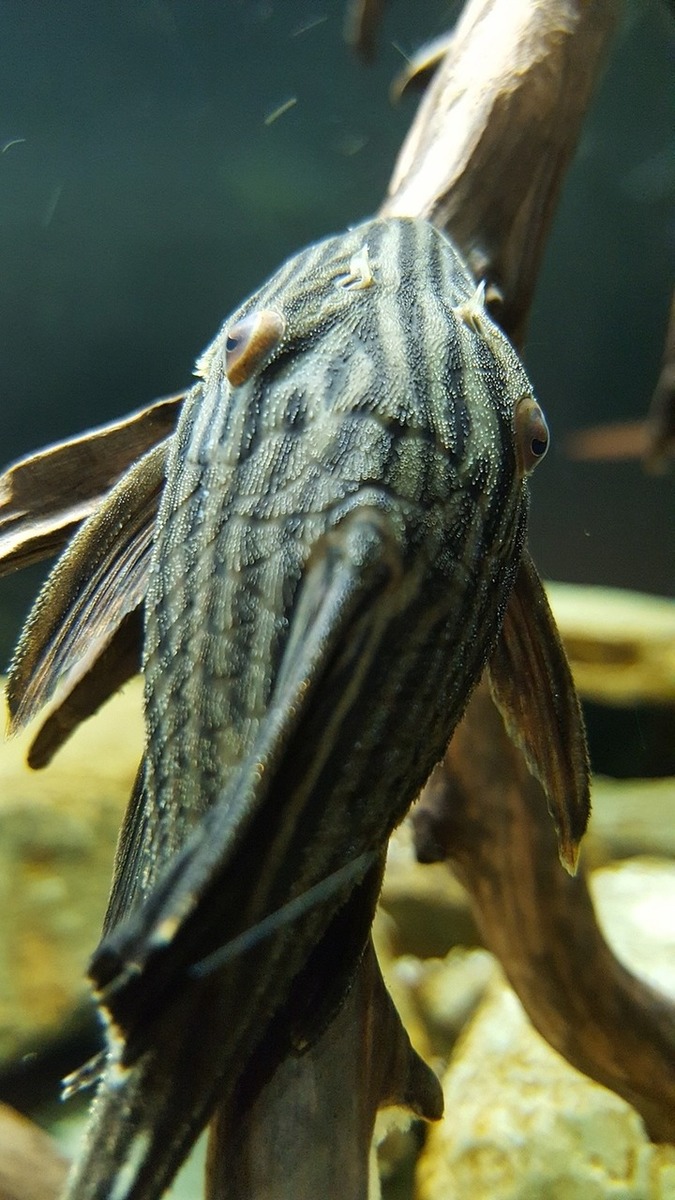 20160425_185854_zpsoixdcyyp.jpg