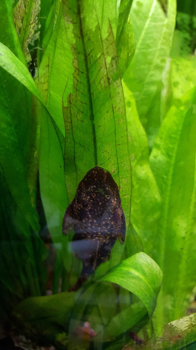 20160430_230634.jpg