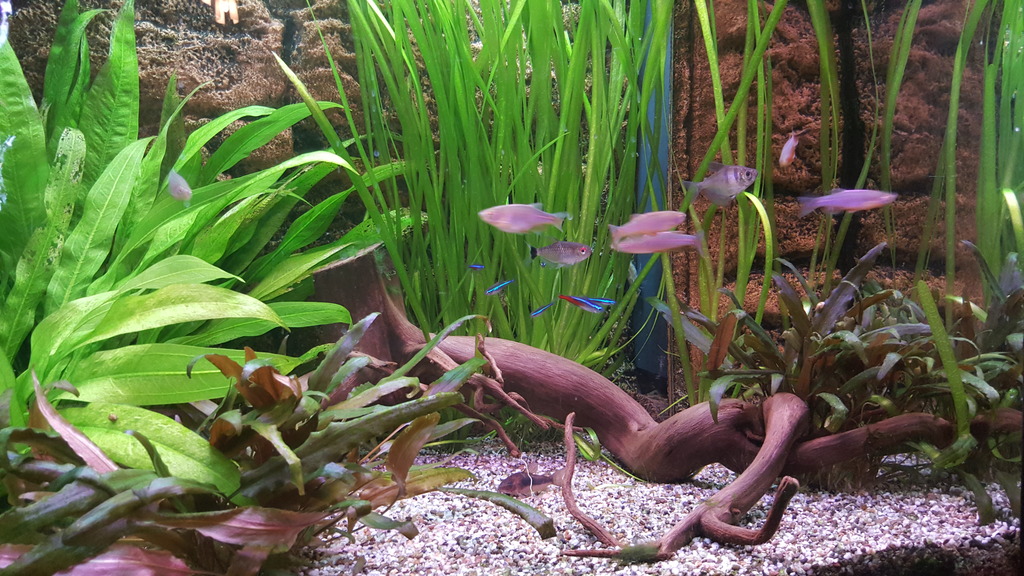 20160501_222136.jpg