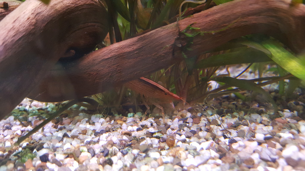 20160501_222344.jpg