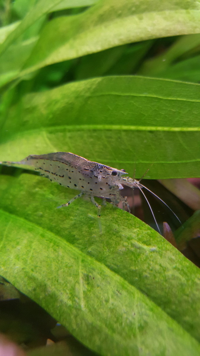 20160501_230849_1.jpg