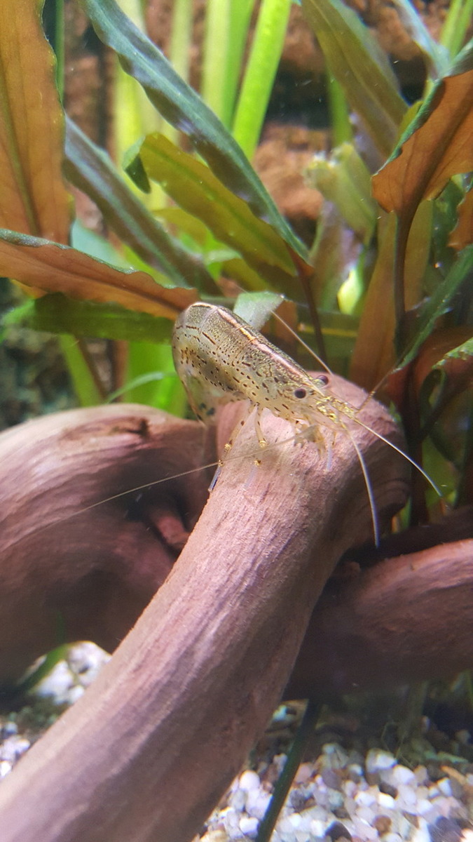 20160501_230940.jpg