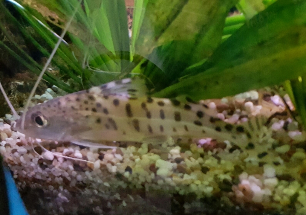 20160505_231639.jpg