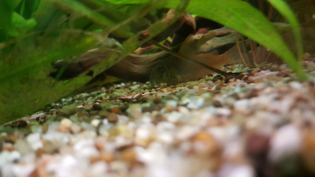 20160710_230854.jpg
