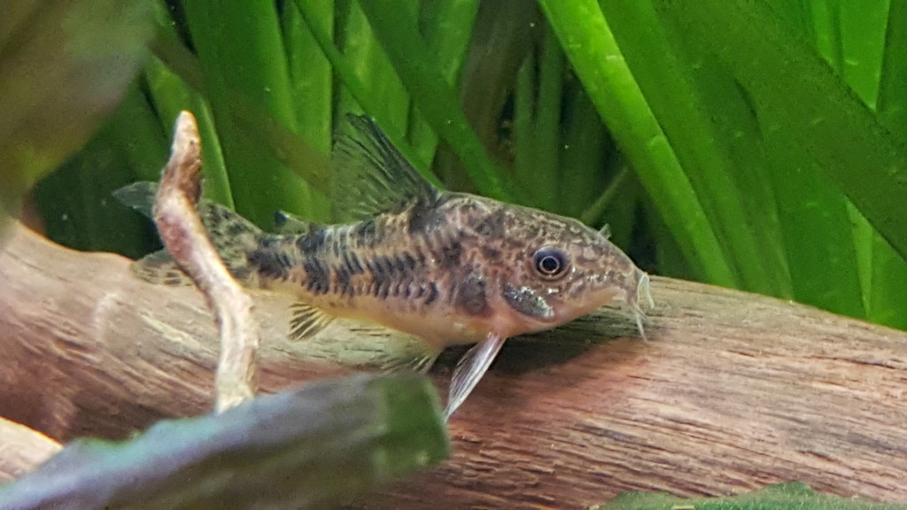 20160710_230917.jpg