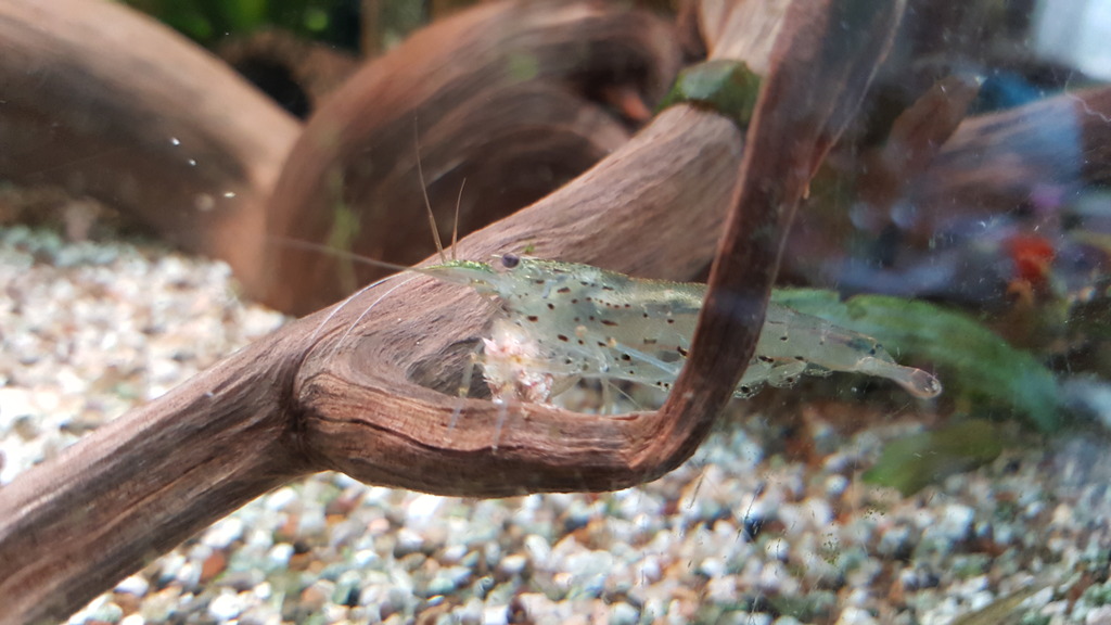 20160813_133949.jpg