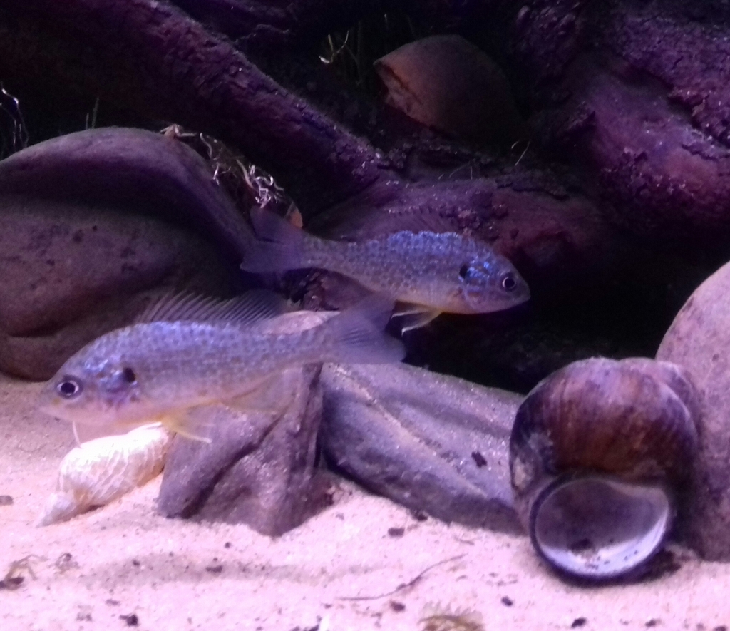 20160826_211639-1.jpg