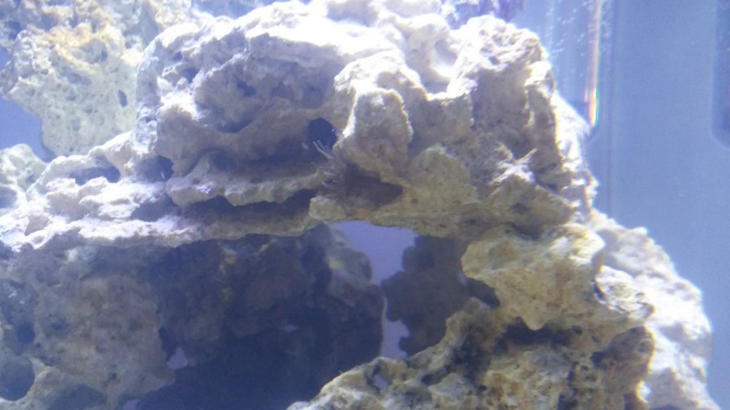 20160831_181614.jpg