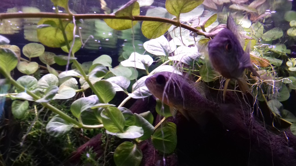 20160905_181132.jpg