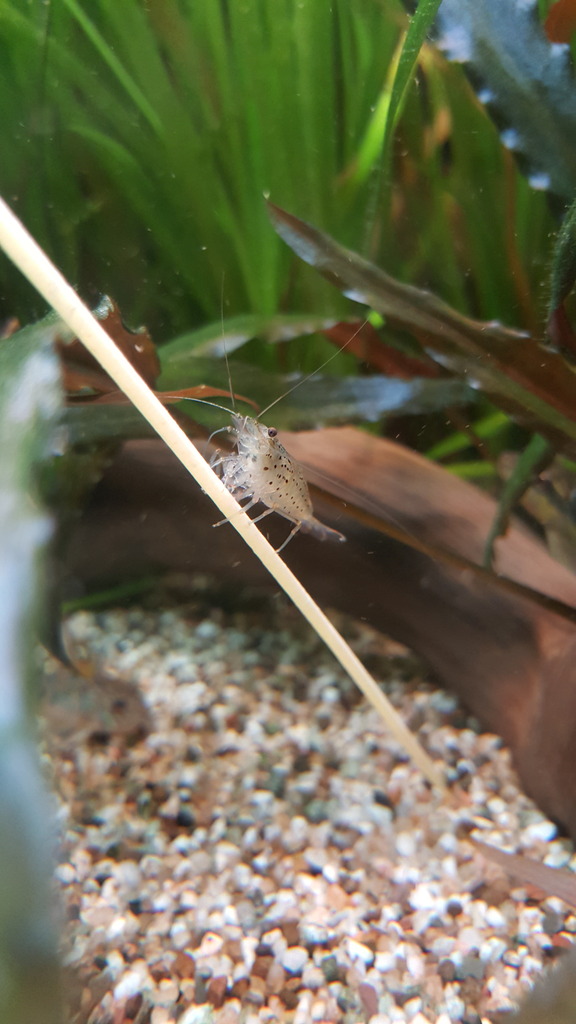 20160914_190057.jpg