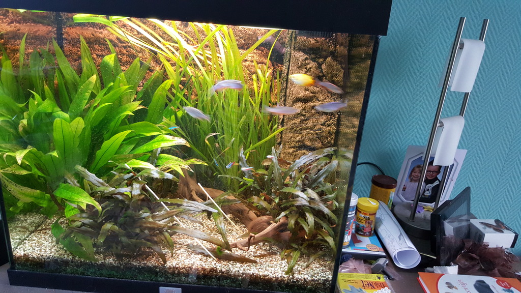 20160914_190137.jpg