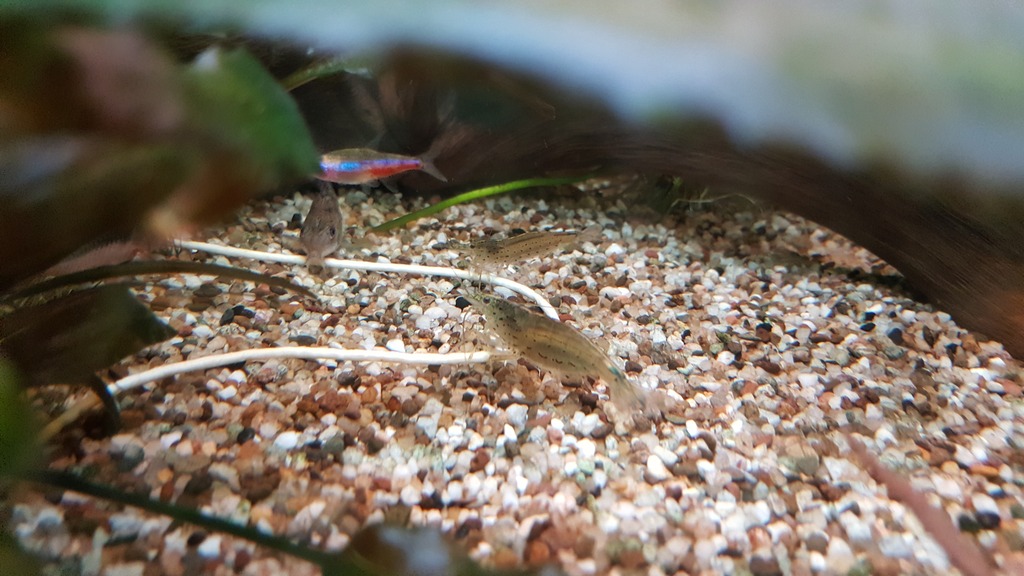 20160914_223202.jpg