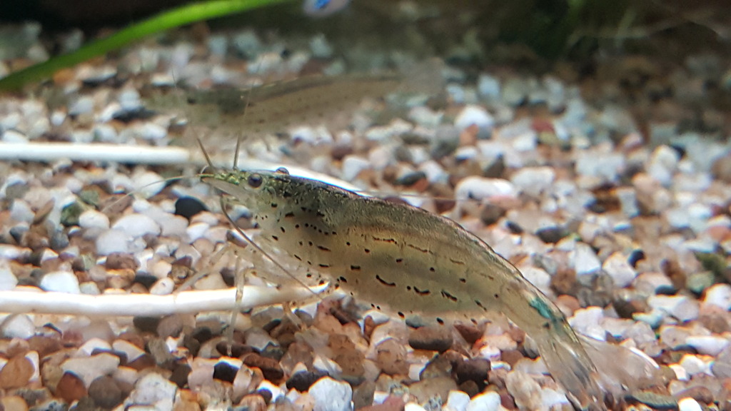 20160914_223222.jpg