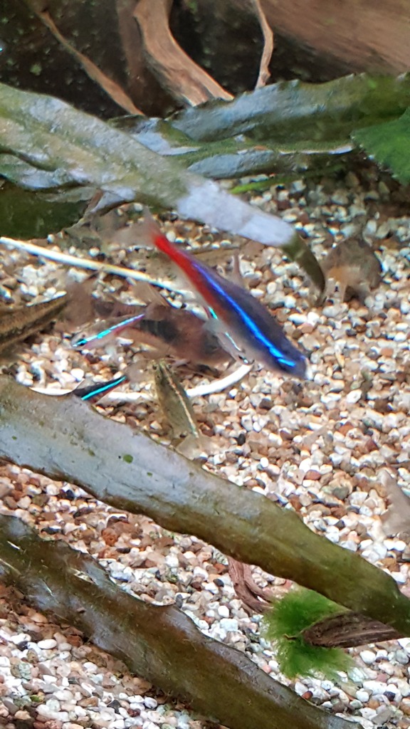 20160914_223336.jpg