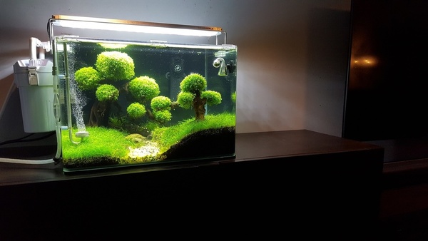 20160925_191353.jpg