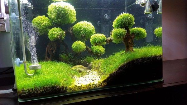 20160925_191407.jpg