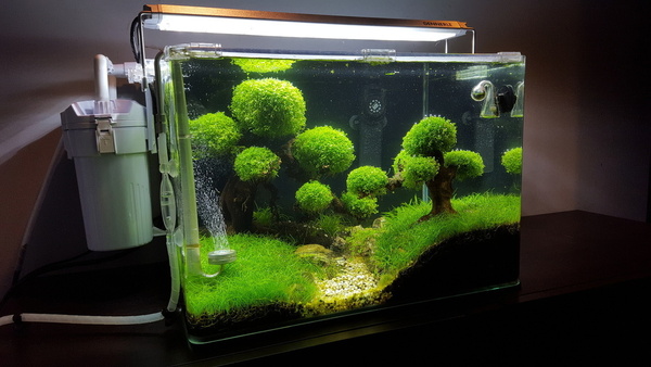 20160925_191425.jpg