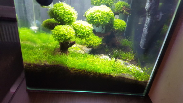 20160925_191436.jpg