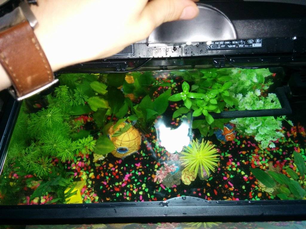 20161016_AquariumBovenaf.jpg