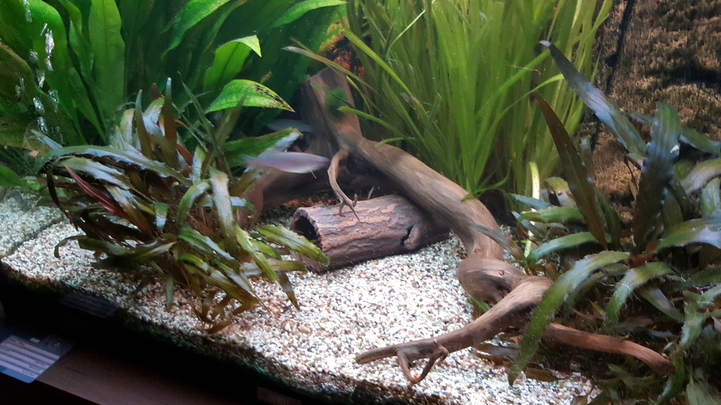 20161019_200613.jpg