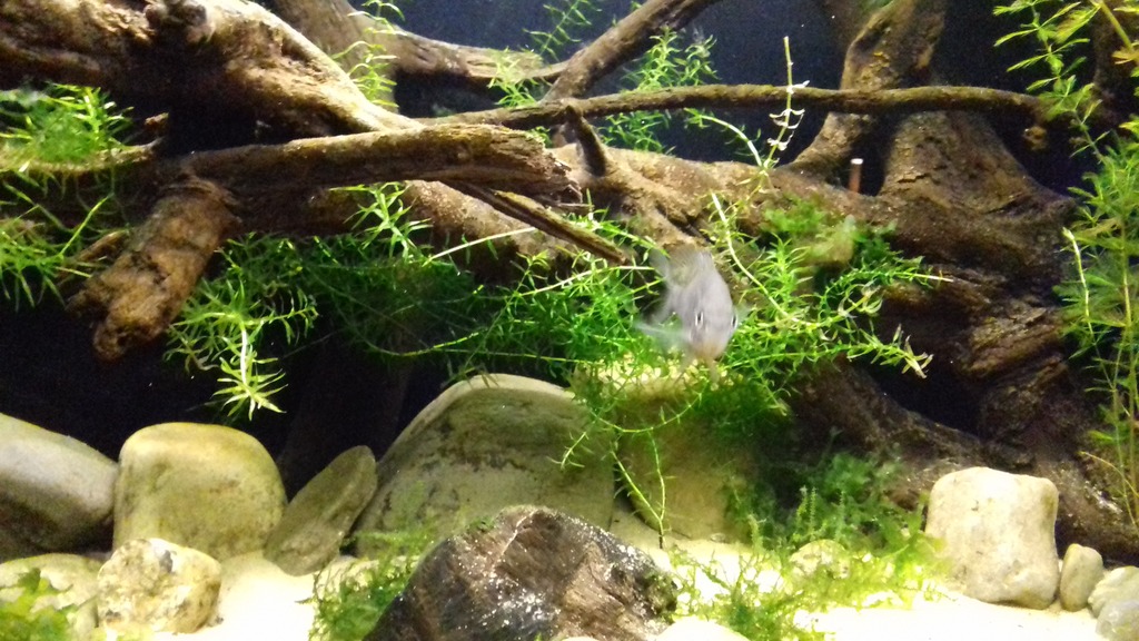 20161115_201407.jpg