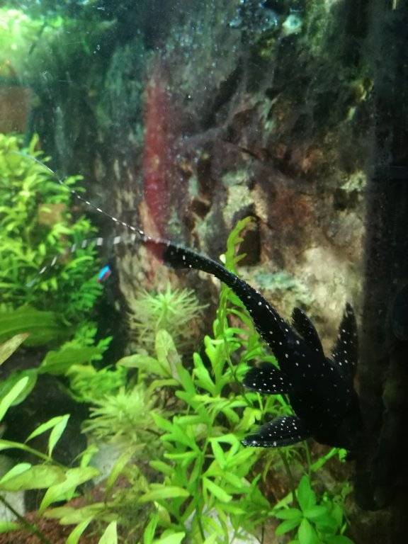 2017-01-05 16.54.19.jpg