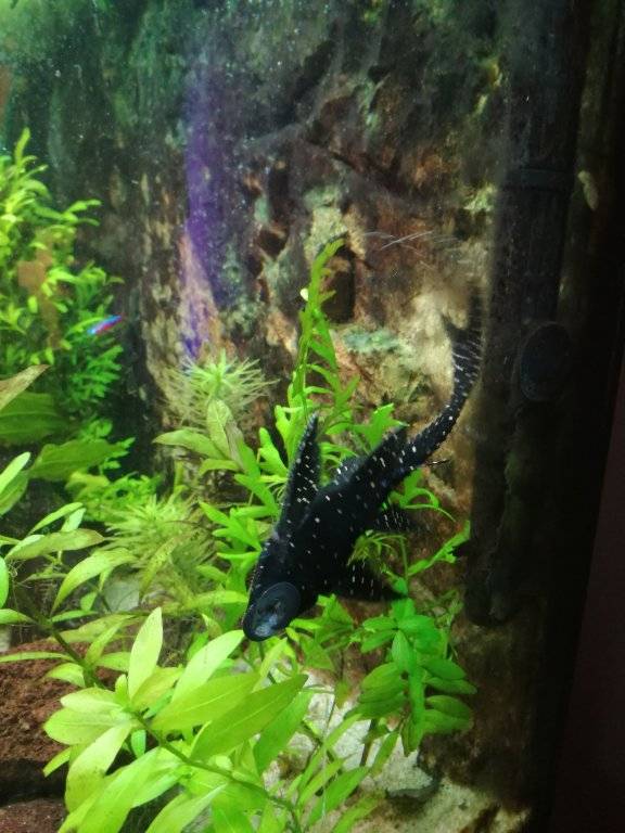 2017-01-05 16.54.22.jpg