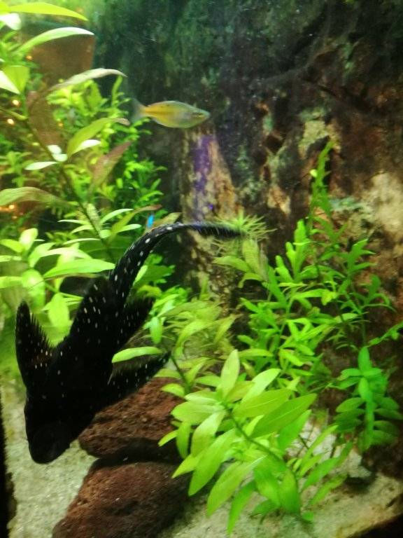 2017-01-05 16.54.24.jpg