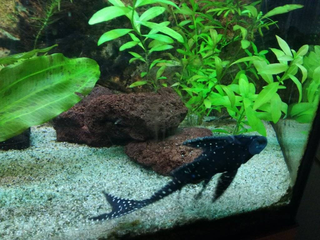 2017-01-05 16.54.32.jpg