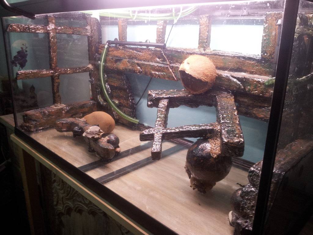 2017-07-22 11.41.04.jpg