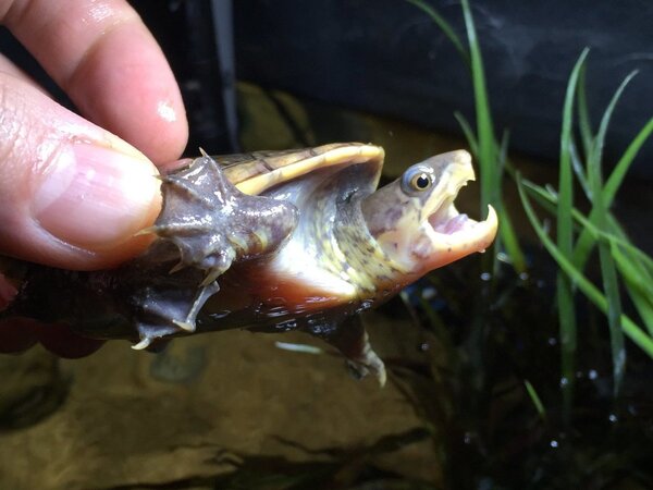 2017-11-15 10.02.25-1.jpg