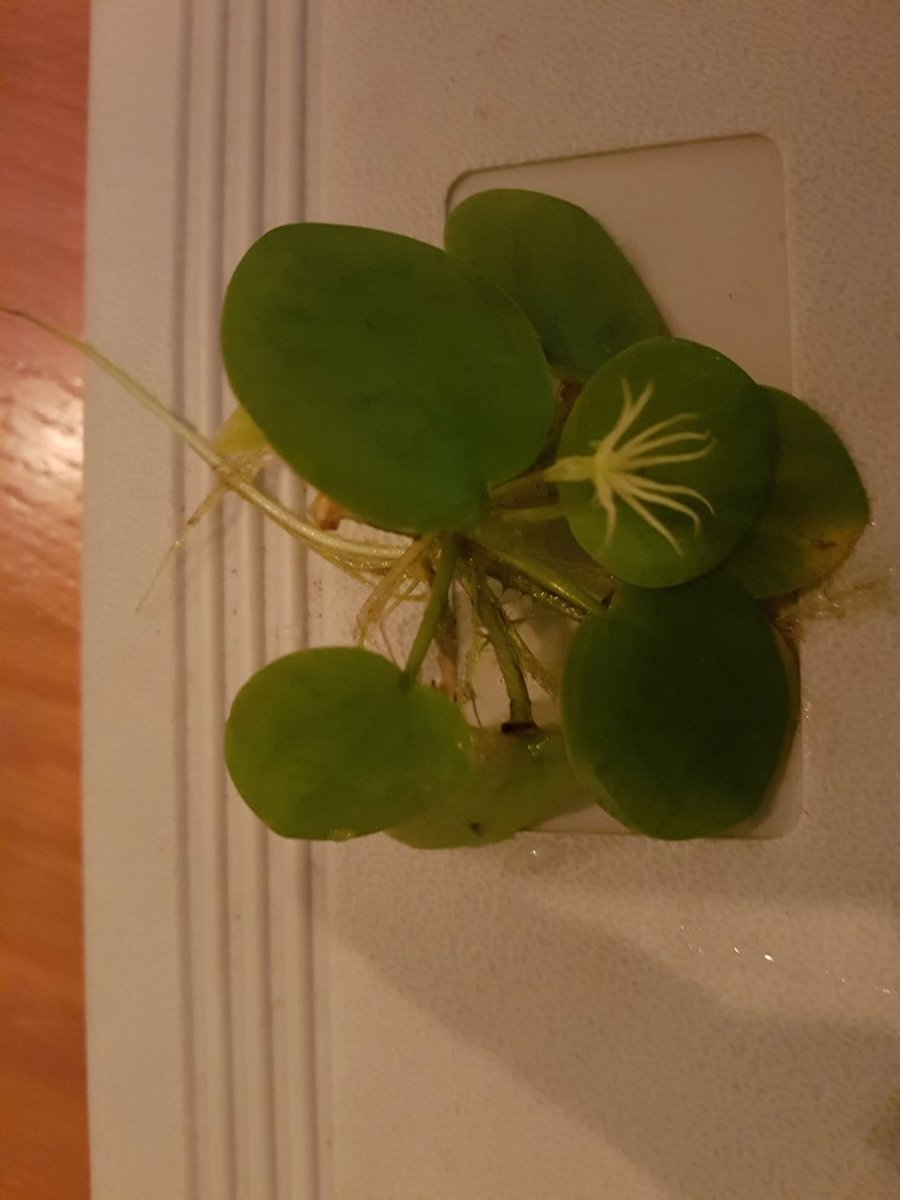 2017-12-06 16.47.49.jpg